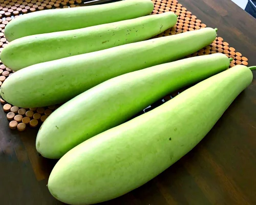 Bottle Gourd (Lauki)